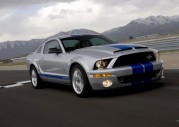 Shelby Cobra GT500 Show Car